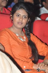 Temper Movie Audio Launch